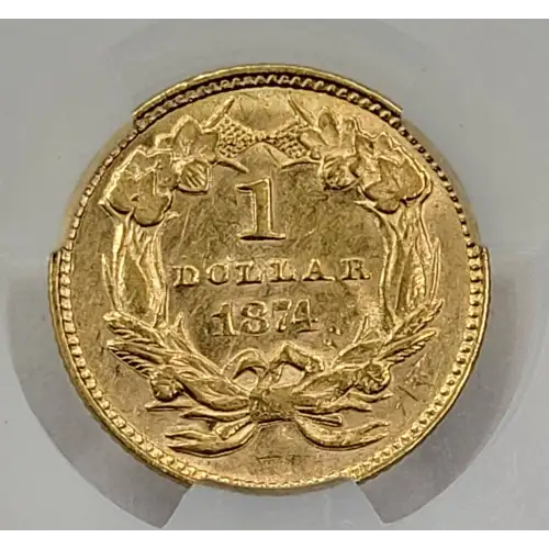 1874 G$1 (2)