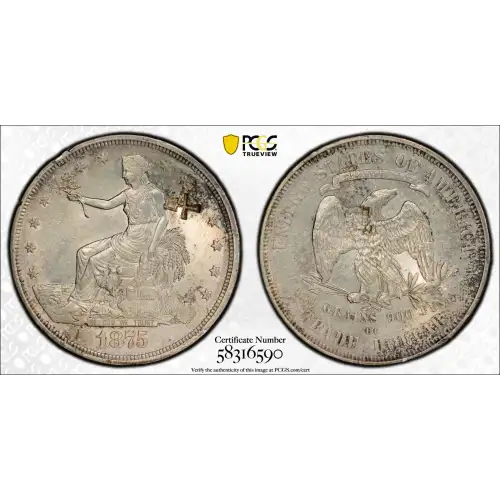1875-CC T$1 TDV-10, Type I/II, Chopmarked (2)