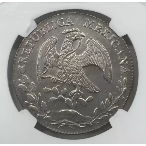 1875GO FR (3)