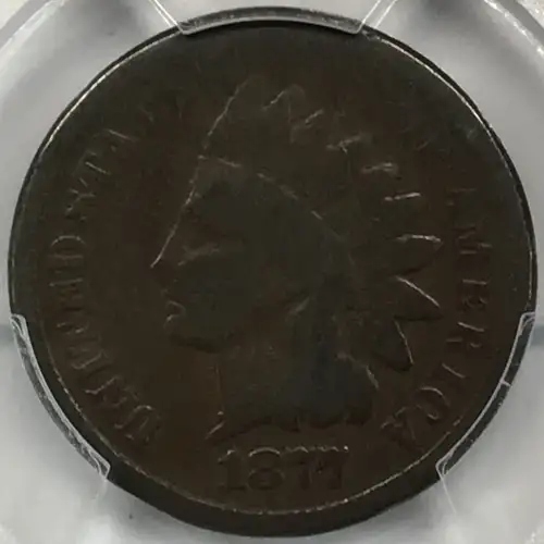 1877 1C, BN (4)