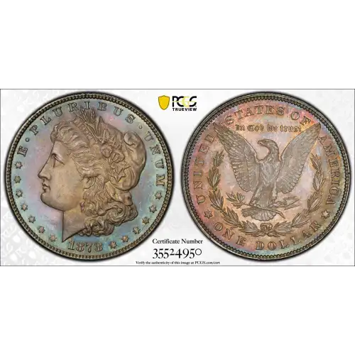 1878 7TF $1 VAM 82, Doubled Stars