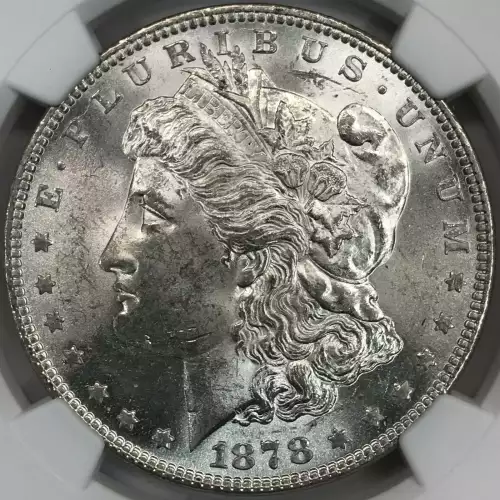 1878 7TF   (3)