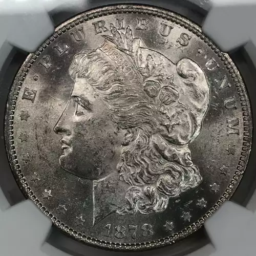 1878 7TF   (4)