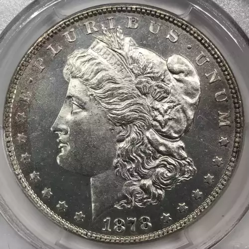 1878 8TF $1 VAM 6 Pierced Eyelid (3)