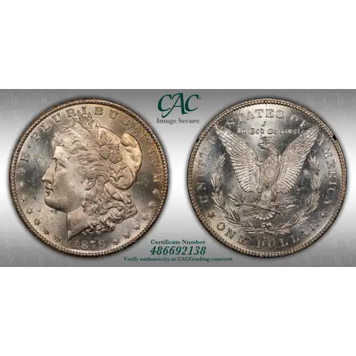 1878-CC GSA Treasure $1