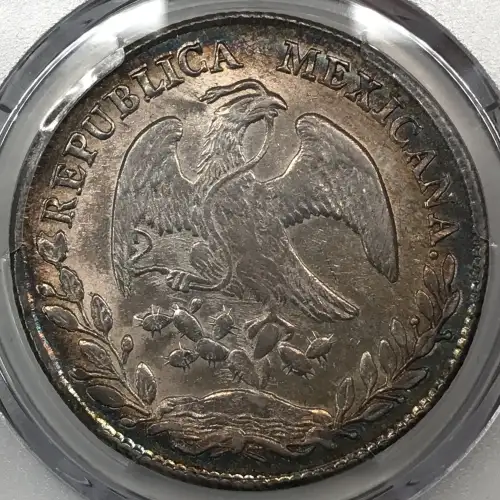 1878-Do TB 8 R Do64 (7)