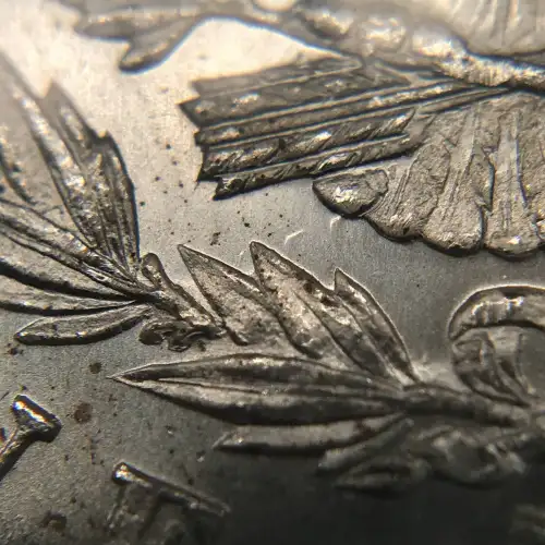 1878 S VAM-17A DENTICLE CLASH (4)