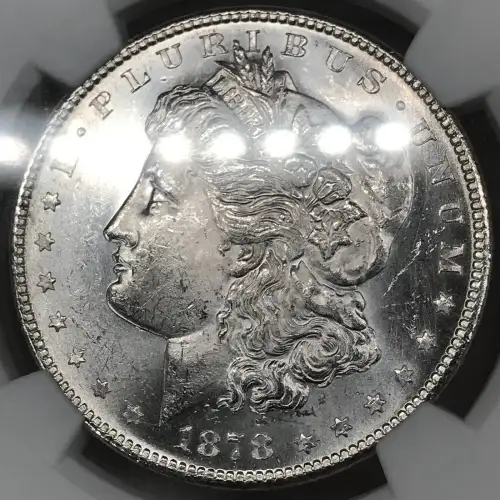 1878 S VAM-17A DENTICLE CLASH (5)