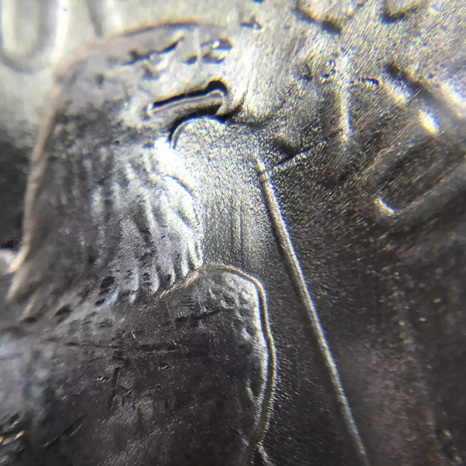 1922 Peace Silver Dollar ANACS MS-64 VAM-18A DDR Doubled Talons