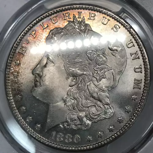 1880/9-S $1 (2)
