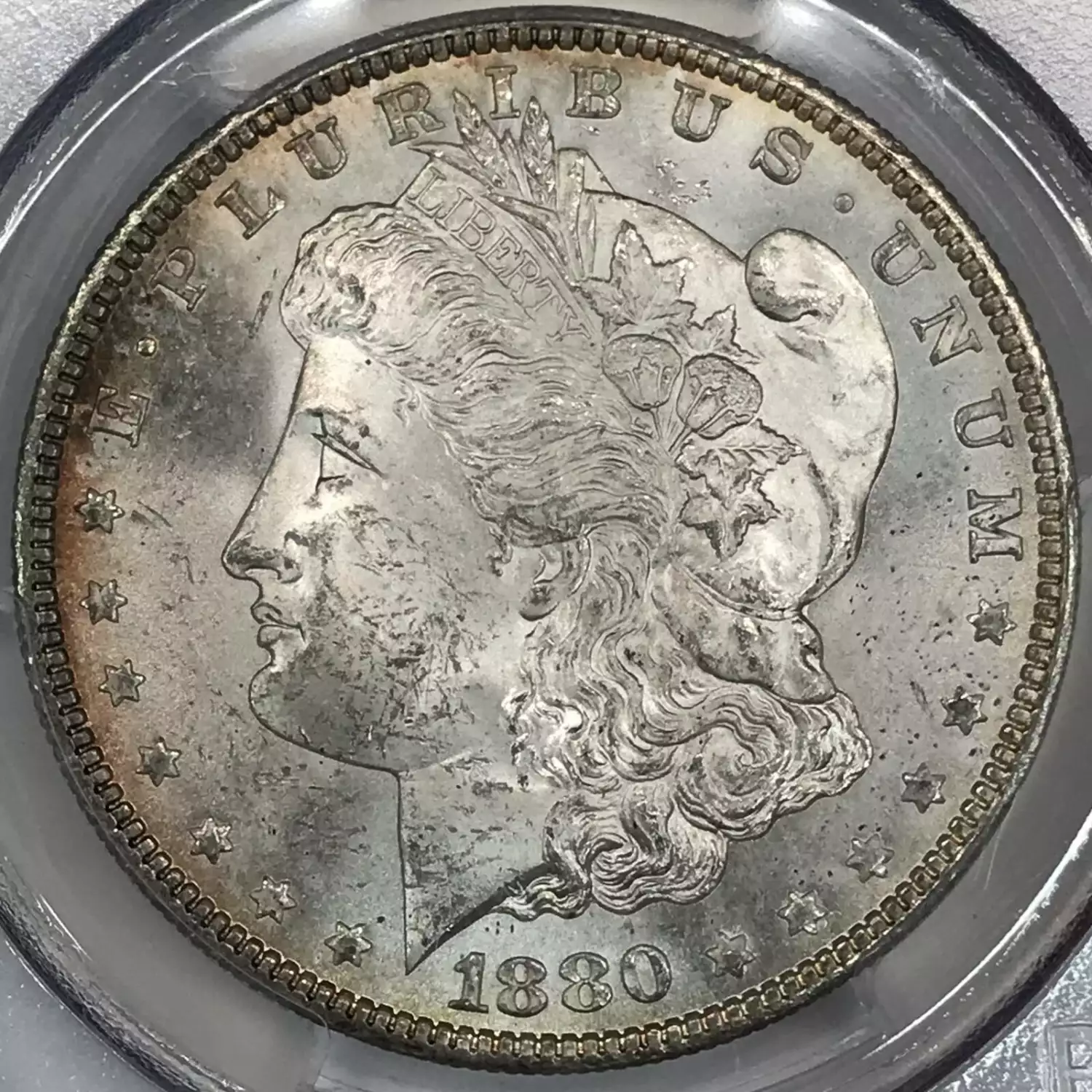 1880/9-S $1 (3)