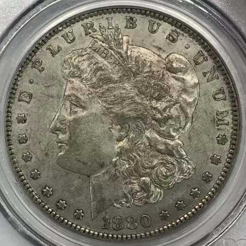 1880-O $1 VAM 43 Doubled Ear
