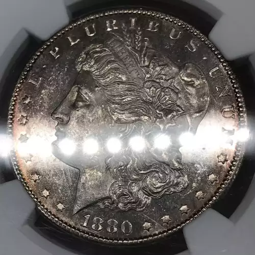 1880  PL (4)