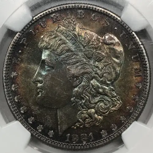 1881 (7)