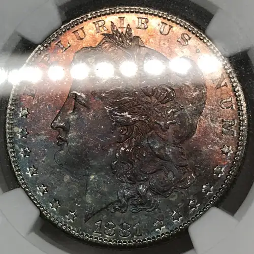 1881 (6)