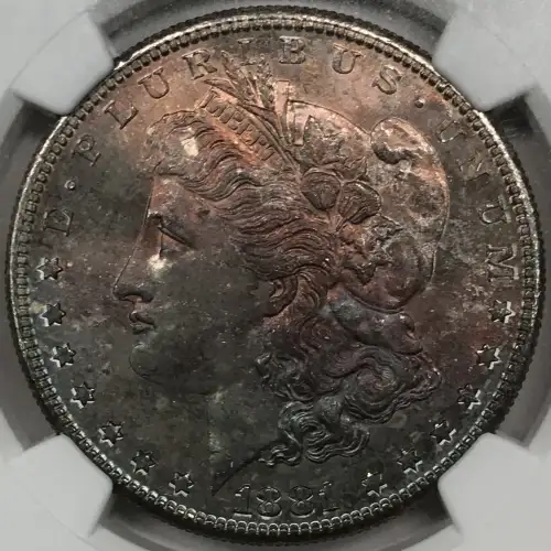 1881 (5)