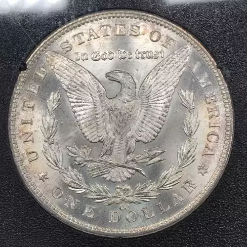 1882 GSA HOARD  (3)