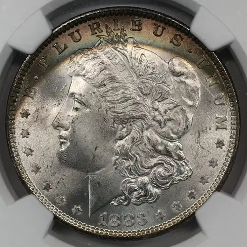 1883 (6)