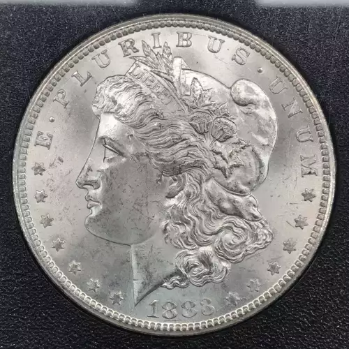 1883 GSA HOARD  (4)