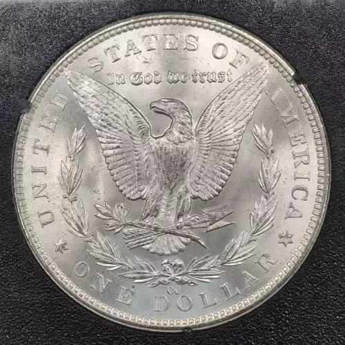 1883 GSA HOARD  (5)