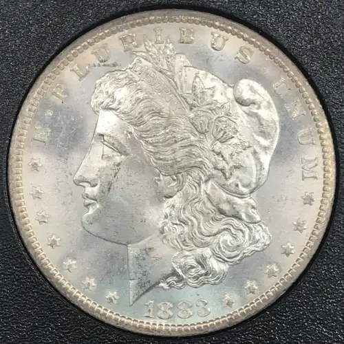 1883 GSA HOARD (6)