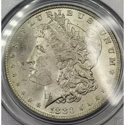 1883-O $1 (3)