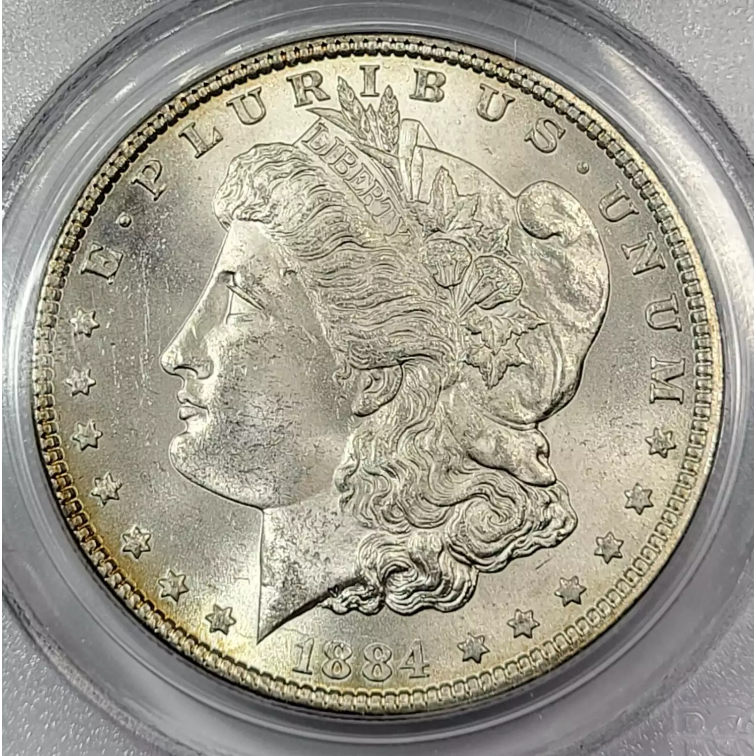 1884 Morgan Value