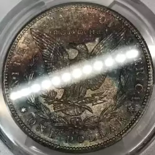 1884-CC $1