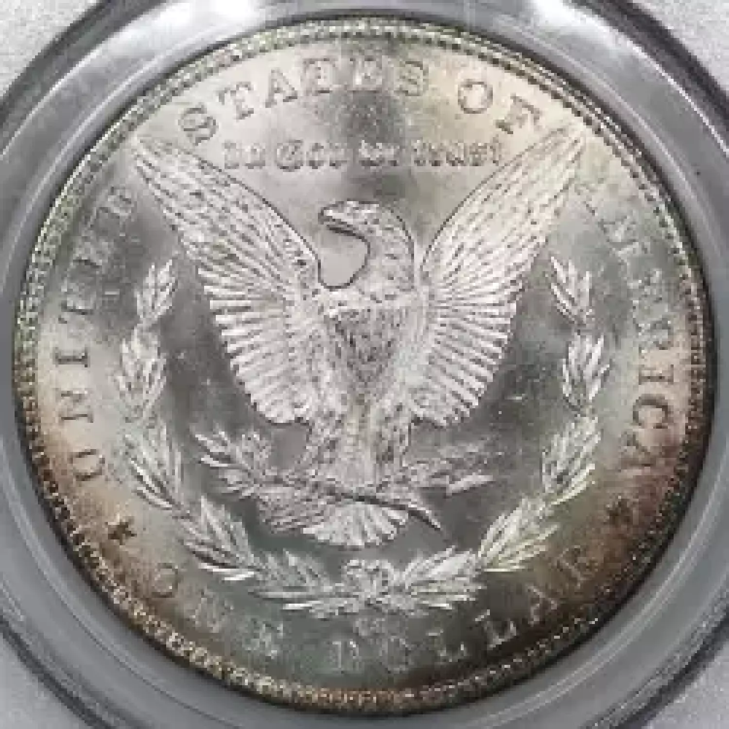 1884-CC $1 (4)