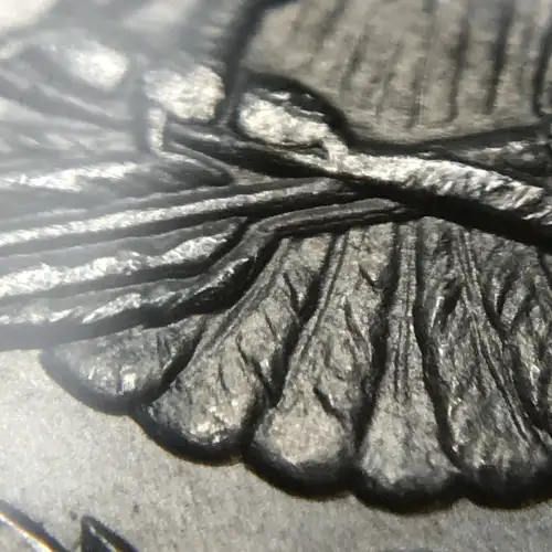 1884-O $1 (4)