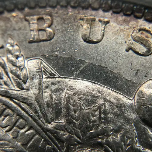 1884-O $1 (8)