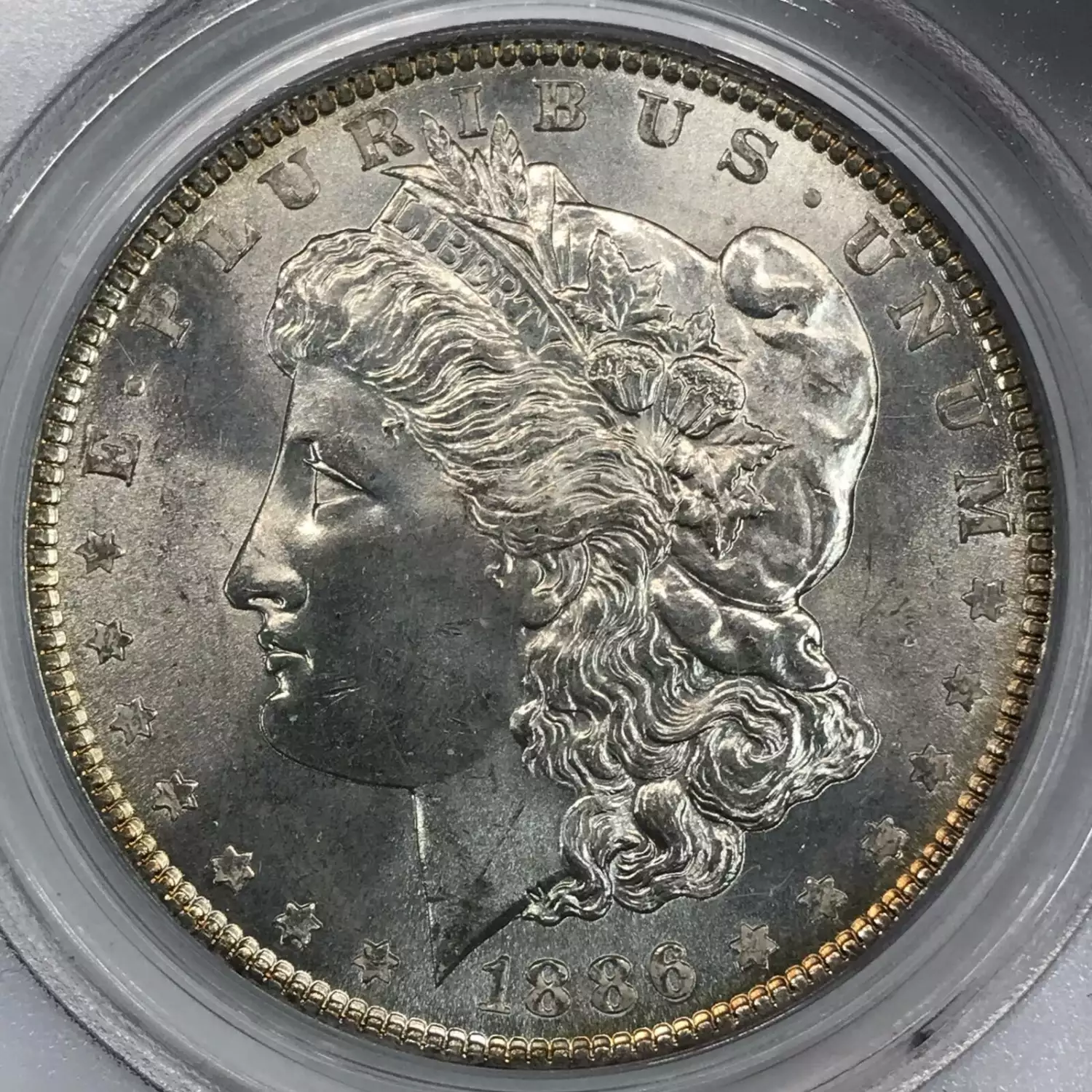 1886 $1 (3)