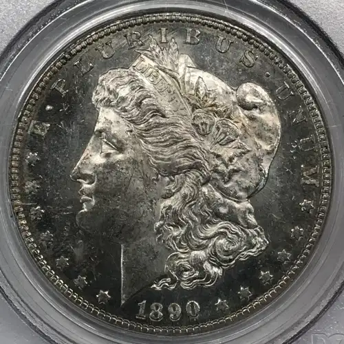 1890-S $1, DMPL (5)