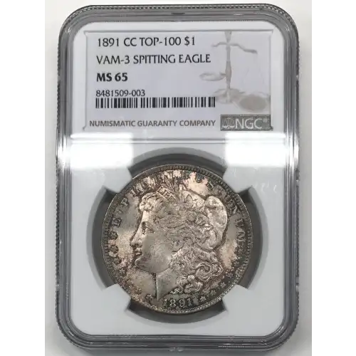 1891 CC VAM-3 SPITTING EAGLE (4)