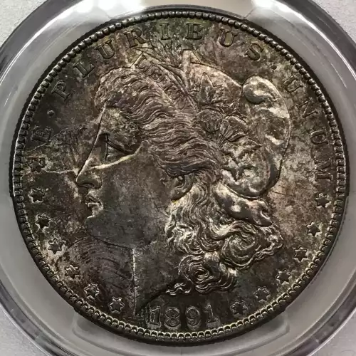 1891-S $1 (4)