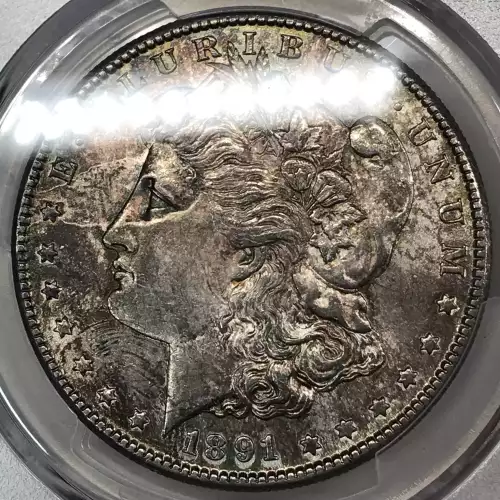 1891-S $1 (3)