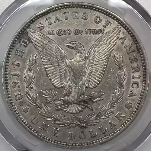 1893 $1 (2)
