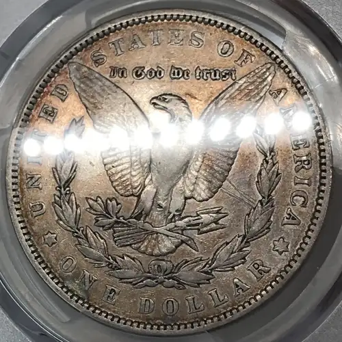 1893 $1 (4)