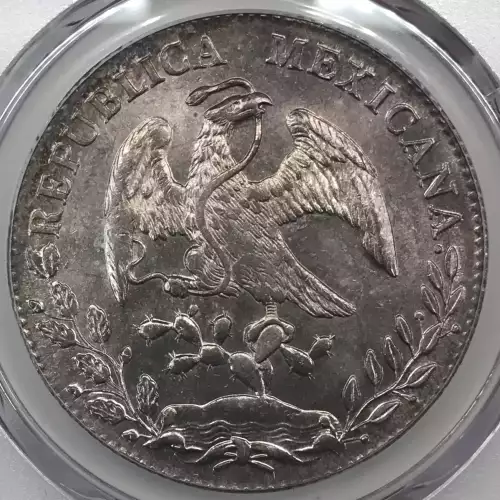 1894-Mo AM 8 R Mo80 (5)