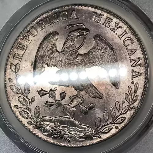 1894-Mo AM 8 R Mo80 (2)