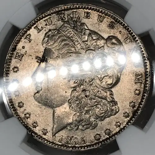 1895 (5)