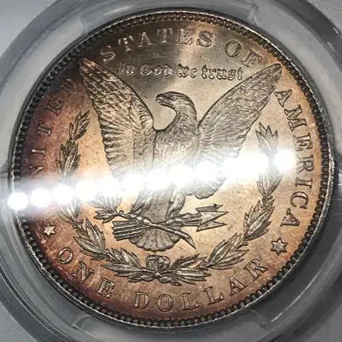 1896 $1 (5)