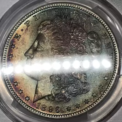 1896 $1 (4)