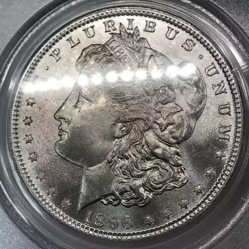 1896 $1 (3)