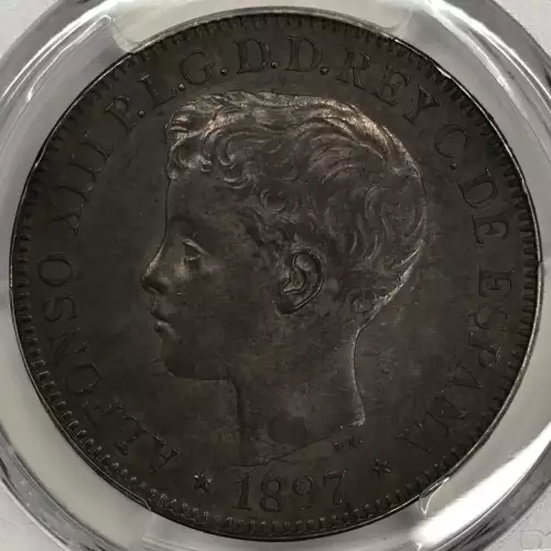 1897-SG V Peso Calico-122 (6)