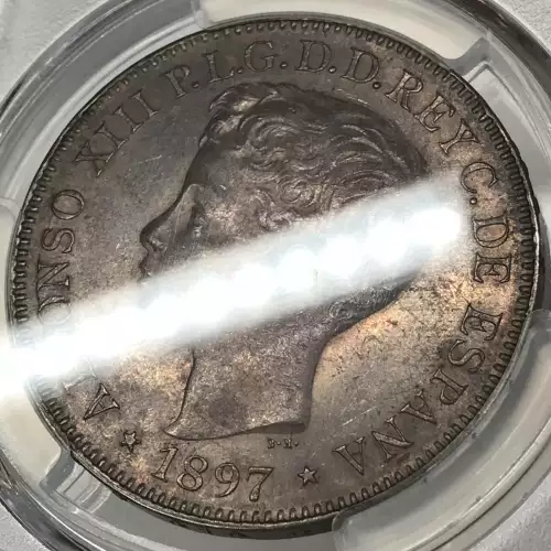 1897-SG V Peso Calico-122 (3)