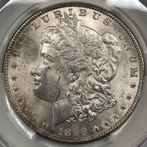 1899 $1 (4)