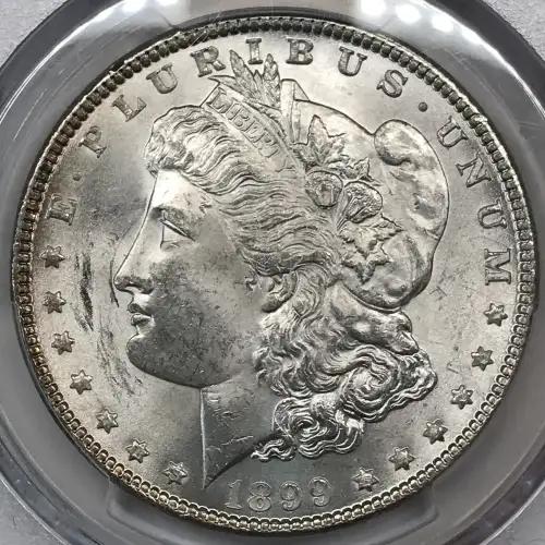 1899 $1 (3)