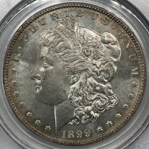 1899 $1 (5)