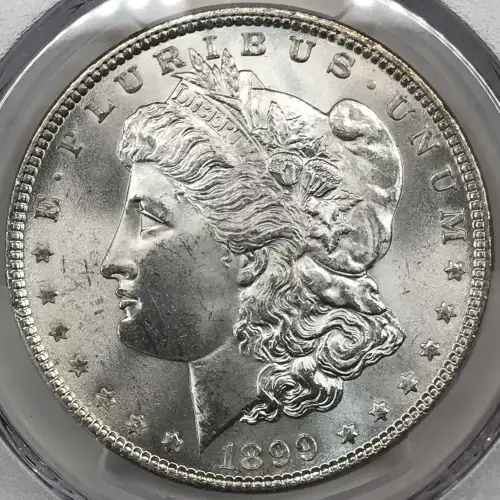 1899 $1 (4)